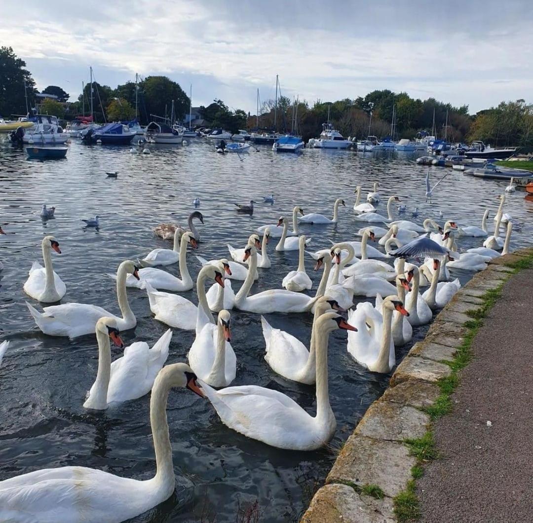 Mudeford Swans Apartment Christchurch  Exterior foto